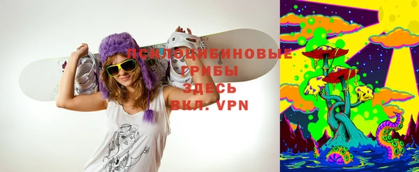 тгк Долгопрудный